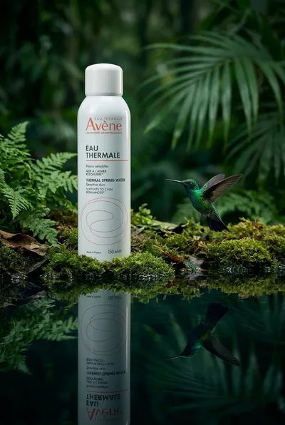 Serenity of the Rainforest Mist